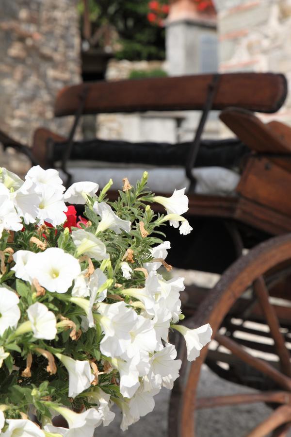 Agriturismo Il Calesse Quarrata Εξωτερικό φωτογραφία